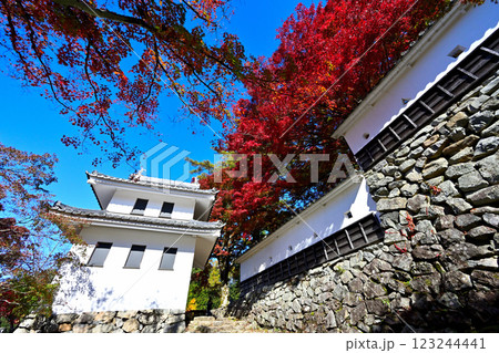 美濃国　郡上八幡城　「天守炎上」青空と紅葉の様子 123244441
