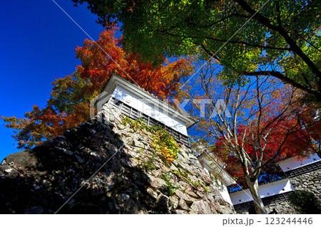 美濃国　郡上八幡城　「天守炎上」青空と紅葉の様子 123244446