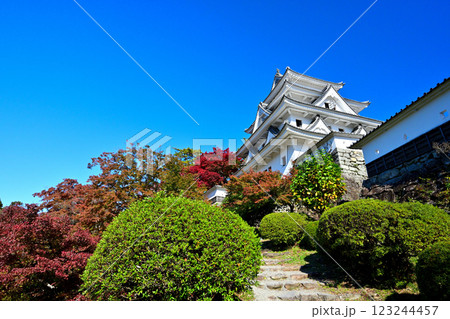 美濃国　郡上八幡城　「天守炎上」青空と紅葉の様子 123244457