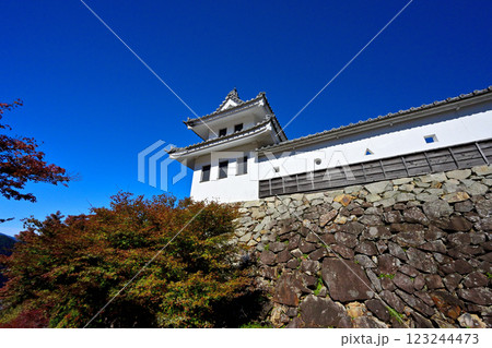 美濃国　郡上八幡城　「天守炎上」青空と紅葉の様子 123244473