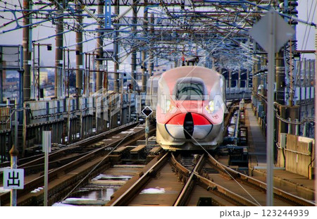 春近し雪解け待つ陸奥路を行く… 『こまち』E6系・盛岡駅にて駅にて 123244939