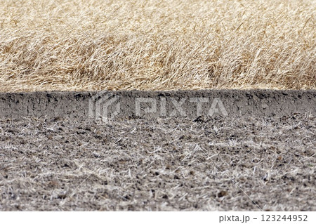 田んぼ 土作り 123244952