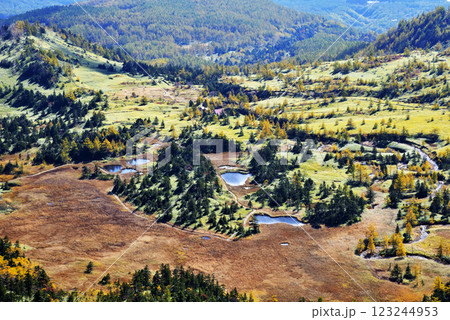 芳ヶ平自然休養林 123244953