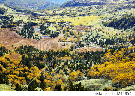 芳ヶ平自然休養林 123244954