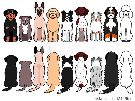 座っている大型犬の前後セット 123244963