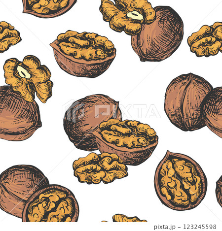 Vector seamless pattern of walnuts. Background of open walnut kernel and whole walnut. Design for wallpaper, packaging, textile. Black and white sketch isolated on white background. Engraving style. Vector seamless pattern of walnuts. Background of open walnut kernel and whole walnut. Design for wallpaper, packaging, textile. Black and white sketch isolated on white background. Engraving style. 123245598