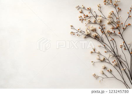 A white background with a bunch of flowers A white background with a bunch of flowers 123245780