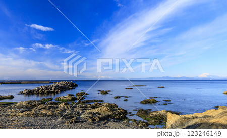 青い空と海の神奈川県三浦郡葉山町森戸海岸の海 123246149