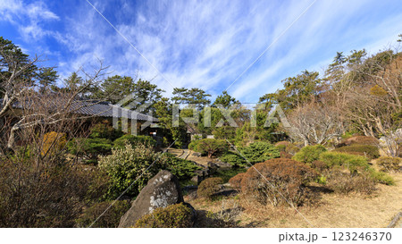 湘南の葉山町葉山しおさい公園の早春 湘南の葉山町葉山しおさい公園の早春 123246370