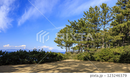 湘南の葉山町葉山しおさい公園の早春 湘南の葉山町葉山しおさい公園の早春 123246379