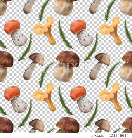 Seamless pattern with porcini mushroom chanterelle, birch bolete, aspen mushroom and spruce branch. The illustration is made in watercolor technique on an isolated background for your design 123246614