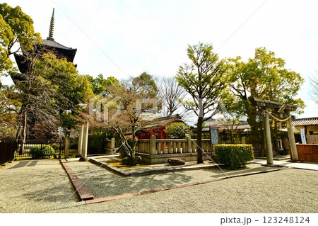 京都府　東寺・八島神社 八島社殿　京都市 南区 九条町　2022年2月 123248124