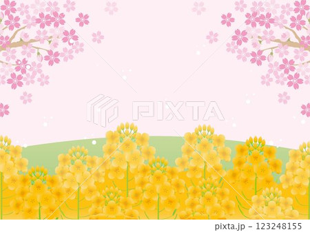 フレーム　菜の花　ナノハナ　さくら　桜　春　花　風景　背景　デザイン　テンプレート　イラスト素材 123248155