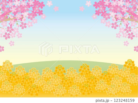 フレーム　菜の花　ナノハナ　さくら　桜　春　花　風景　背景　デザイン　テンプレート　イラスト素材 123248159