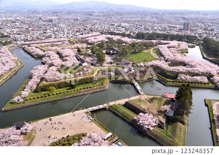 桜咲く五稜郭 桜咲く五稜郭 123248357