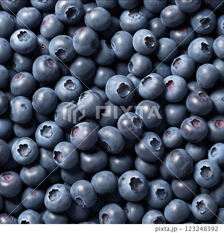 たくさんのブルーベリー 123248392