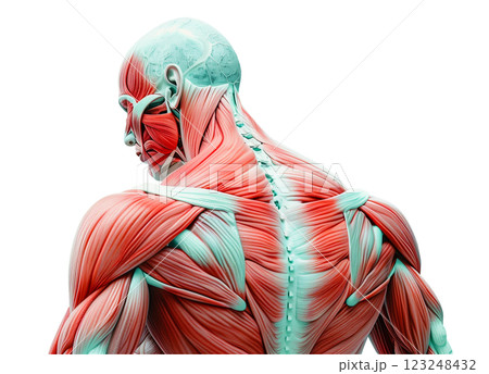 Human stress on muscle tension and pain isolated on white background png transparent clipart. 123248432