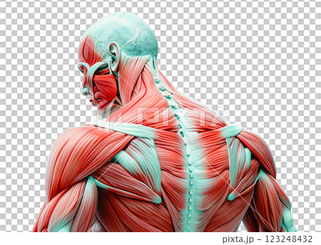 Human stress on muscle tension and pain isolated on white background png transparent clipart. 123248432