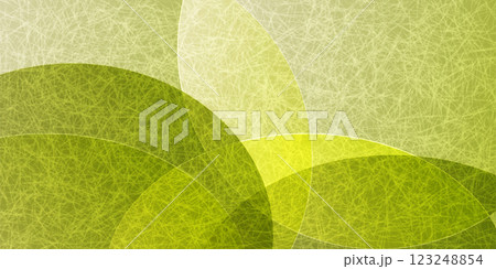 新緑　和紙　模様　背景　 123248854