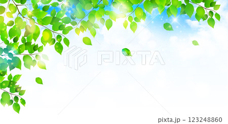 新緑　葉　風景　背景 123248860