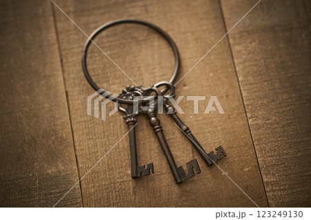 古い鍵のイメージ 123249130