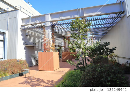 板橋区役所　南館7階　「屋上庭園」 123249442