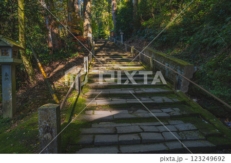 袋井市にある新緑に包まれた油山寺の階段の風景(静岡県) 袋井市にある新緑に包まれた油山寺の階段の風景(静岡県) 123249692