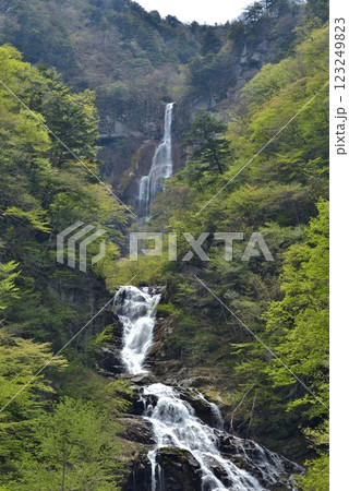 新緑のゴールデンウィーク、山梨県北杜市、日本滝百選北精進ヶ滝を臨む 新緑のゴールデンウィーク、山梨県北杜市、日本滝百選北精進ヶ滝を臨む 123249823