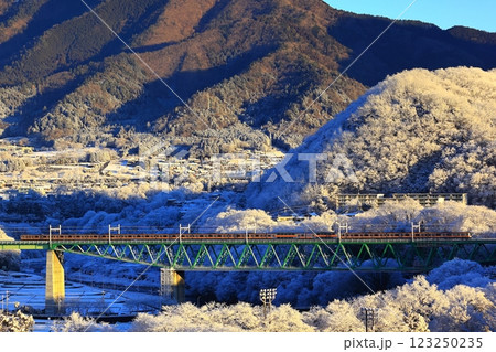 雪の鳥沢橋梁を渡るE233系 雪の鳥沢橋梁を渡るE233系 123250235