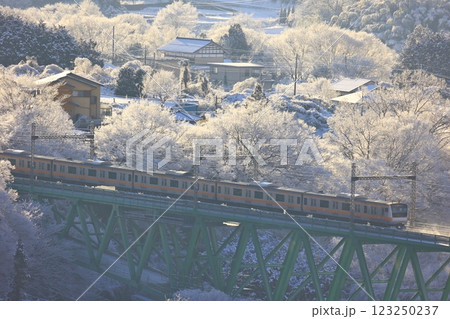 雪の鳥沢橋梁を渡るE233系 雪の鳥沢橋梁を渡るE233系 123250237