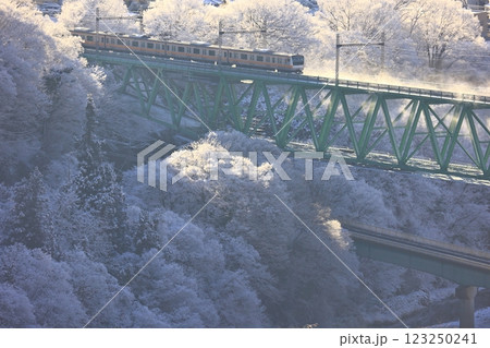 雪の鳥沢橋梁を渡るE233系 雪の鳥沢橋梁を渡るE233系 123250241