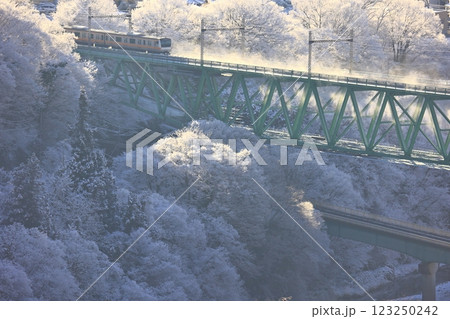 雪の鳥沢橋梁を渡るE233系 123250242