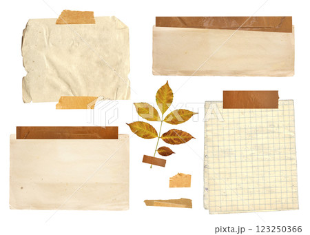 Collection of vintage elements for scrapbooking. Nostalgic set of retro paper, fixed adhesive tape stripes, dry pressed leaf, paper tag. Mockup template. Isolated on white background Collection of vintage elements for scrapbooking. Nostalgic set of retro paper, fixed adhesive tape stripes, dry pressed leaf, paper tag. Mockup template. Isolated on white background 123250366
