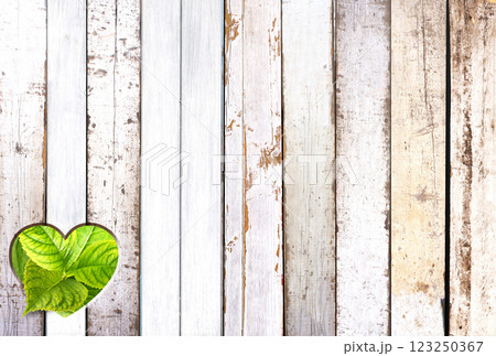 Heart-shaped hole in wooden board and green leaves. Heart shape hole in wood fence. Go green. Ecology, global ecological resource, eco, reuse, renewable resource, eco-friendly and zero waste concept 123250367
