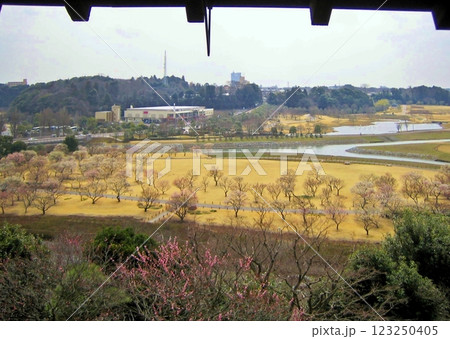 水戸偕楽園の春 2009 水戸偕楽園の春 2009 123250405