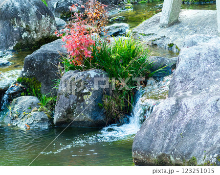 小さな滝と紅葉 小さな滝と紅葉 123251015