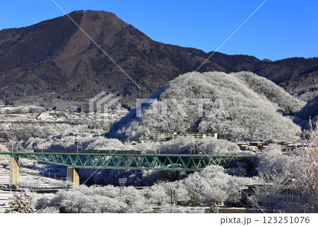 雪の鳥沢橋梁を渡る211系 雪の鳥沢橋梁を渡る211系 123251076