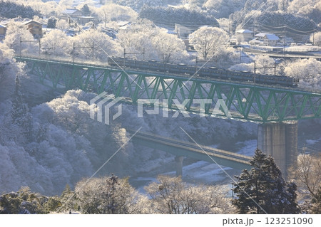 雪の鳥沢橋梁を渡る211系 123251090