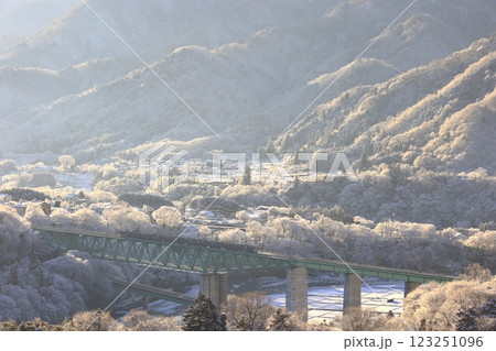 雪の鳥沢橋梁を渡る211系 123251096