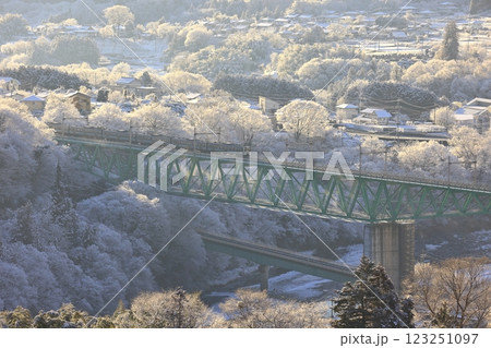 雪の鳥沢橋梁を渡る211系 123251097