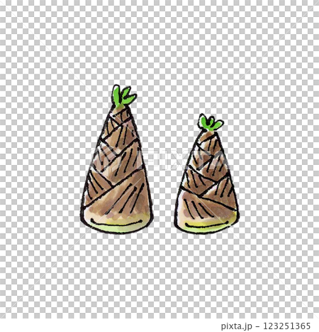 bamboo shoots 123251365