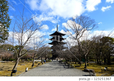 京都府　東寺・庭園 五重塔　京都市 南区 九条町　2022年2月 123251367