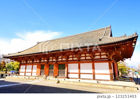 京都府 東寺・講堂(重要文化財) 京都市 南区 九条町 2022年2月 京都府 東寺・講堂(重要文化財) 京都市 南区 九条町 2022年2月 123251403