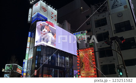 新宿東口の三毛猫 新宿東口の三毛猫 123251582