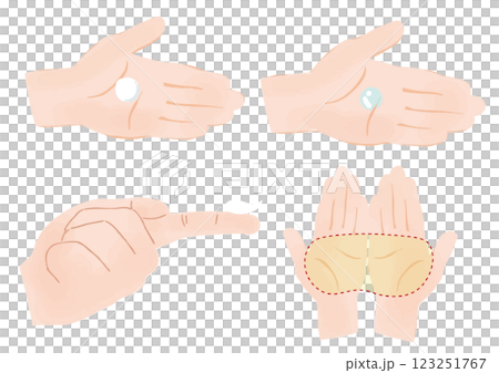 スキンケア薬剤の使用量を表すイラストセット 123251767
