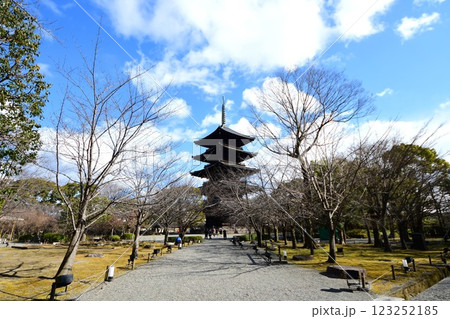 京都府 東寺・庭園 五重塔 京都市 南区 九条町 2022年2月 京都府 東寺・庭園 五重塔 京都市 南区 九条町 2022年2月 123252185