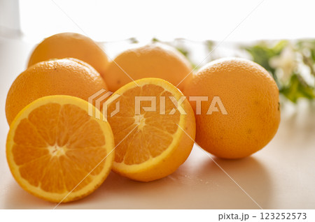 ネーブルオレンジ ネーブルオレンジ 123252573