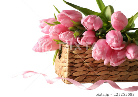 8 March, International Women's Day, pink tulips in a wicker basket, space for text, isolated on white background, PNG 8 March, International Women's Day, pink tulips in a wicker basket, space for text, isolated on white background, PNG 123253088