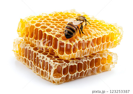 Honeycomb with golden honey beautifully arranged on white background. Flat lay. Top view. Package design element. Honeycomb with golden honey beautifully arranged on white background. Flat lay. Top view. Package design element. 123253387