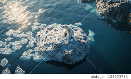 A lone polar bear perches on a rock amidst icy waters, a stark reminder of climate change and habitat loss in the Arctic. 123253753